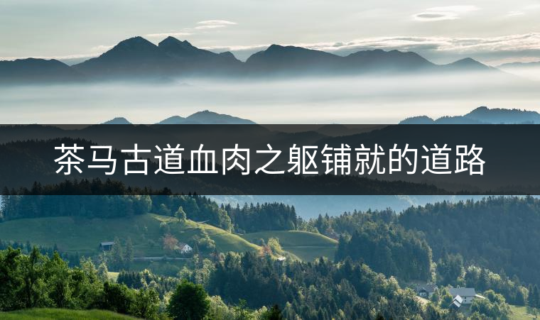 茶馬古道血肉之軀鋪就的道路