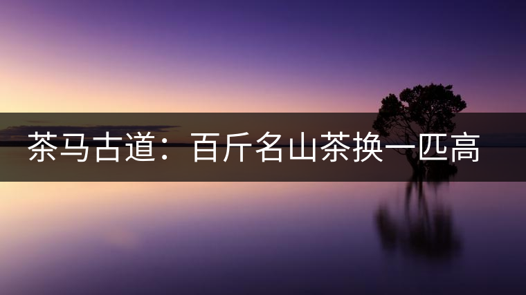 茶馬古道：百斤名山茶換一匹高頭大馬