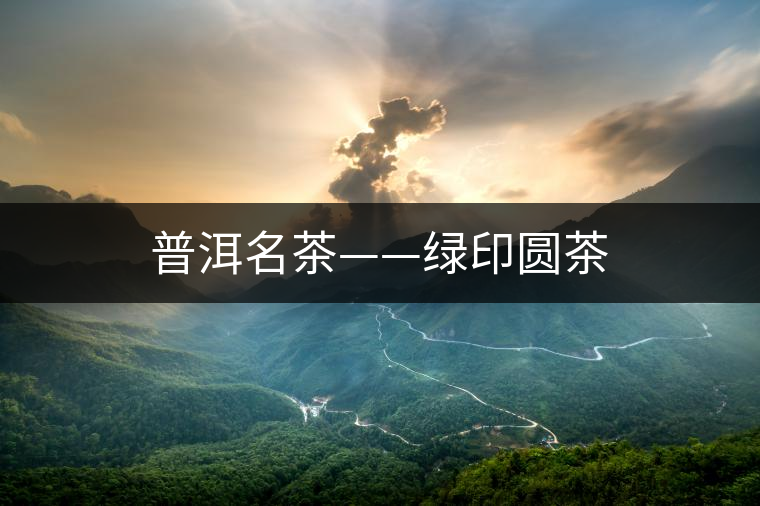 普洱名茶——綠印圓茶 普洱名茶——綠印圓茶