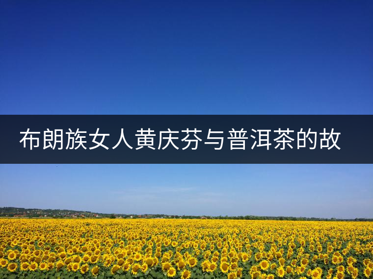 布朗族女人黃慶芬與普洱茶的故事 布朗族女人黃慶芬與普洱茶的故事