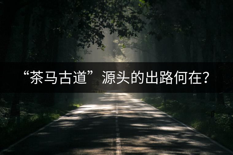 “茶馬古道”源頭的出路何在？