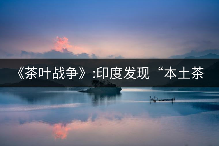 《茶葉戰(zhàn)爭(zhēng)》:印度發(fā)現(xiàn)“本土茶樹(shù)” 《茶葉戰(zhàn)爭(zhēng)》:印度發(fā)現(xiàn)“本土茶樹(shù)”