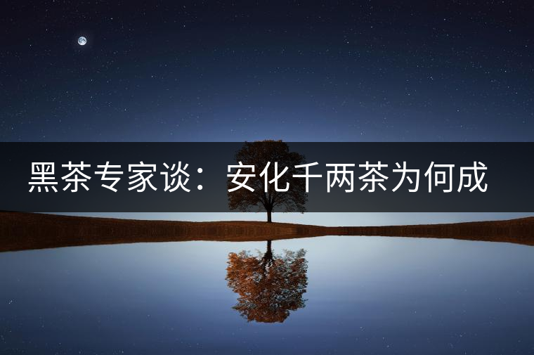 黑茶專家談：安化千兩茶為何成“世界茶王”？