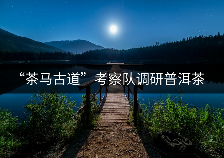 “茶馬古道”考察隊調(diào)研普洱茶文化 “茶馬古道”考察隊調(diào)研普洱茶文化