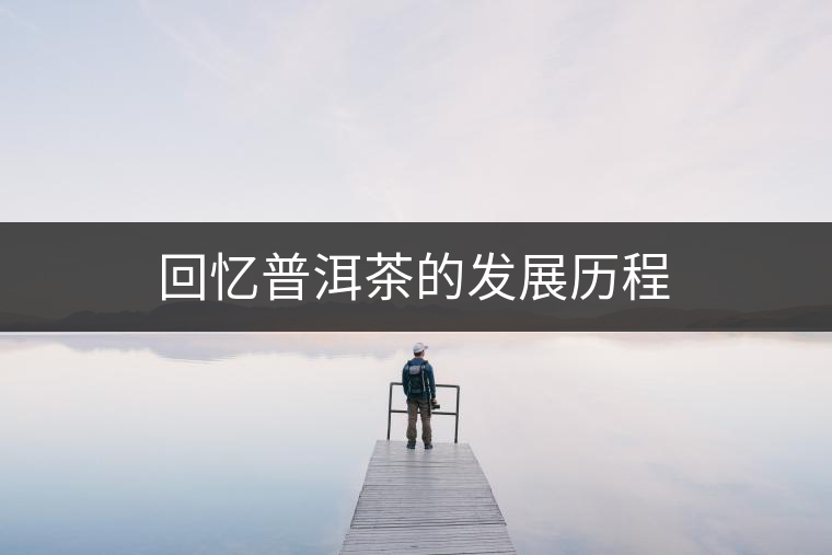 回憶普洱茶的發(fā)展歷程
