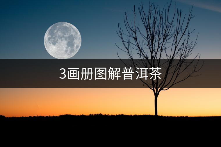 3畫冊圖解普洱茶 3畫冊圖解普洱茶
