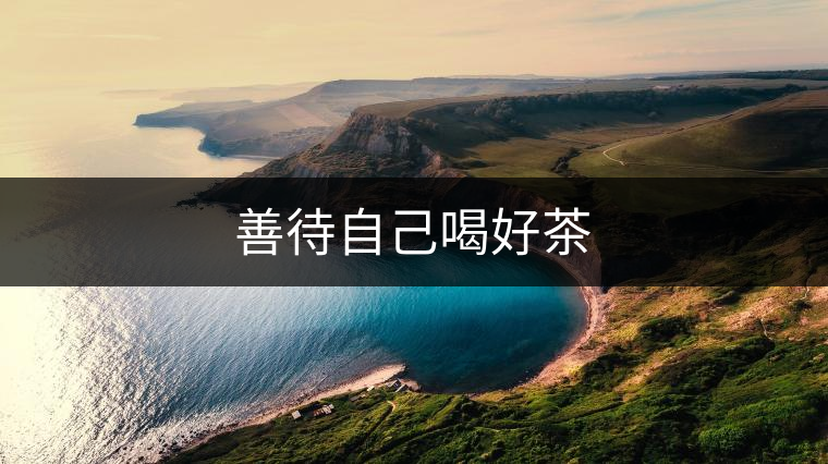 善待自己喝好茶