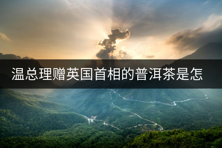 溫總理贈(zèng)英國(guó)首相的普洱茶是怎么制作的？