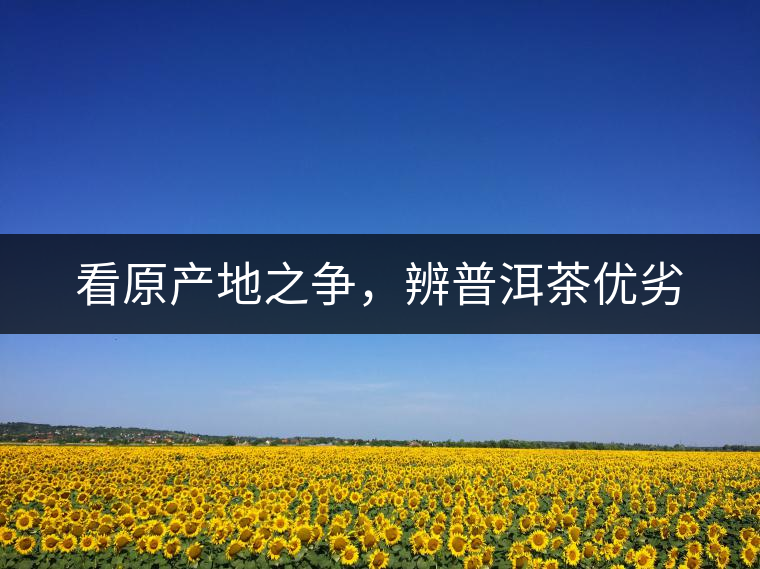 看原產(chǎn)地之爭，辨普洱茶優(yōu)劣