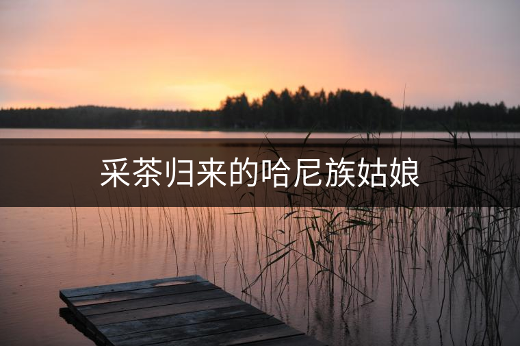 采茶歸來(lái)的哈尼族姑娘