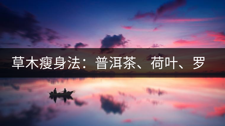 草木瘦身法：普洱茶、荷葉、羅漢果
