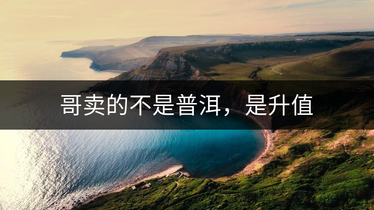 哥賣(mài)的不是普洱，是升值