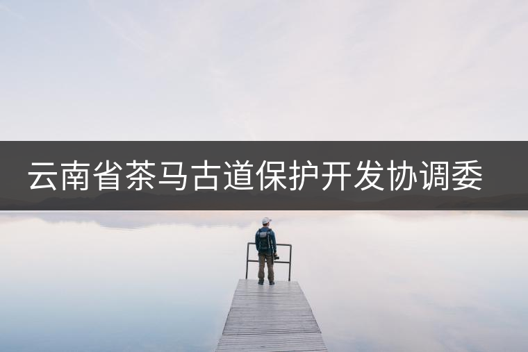 云南省茶馬古道保護(hù)開發(fā)協(xié)調(diào)委員會成立