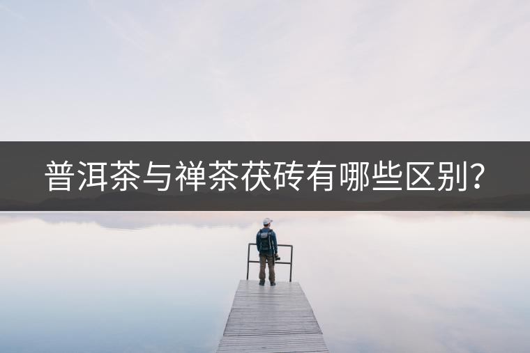 普洱茶與禪茶茯磚有哪些區(qū)別？