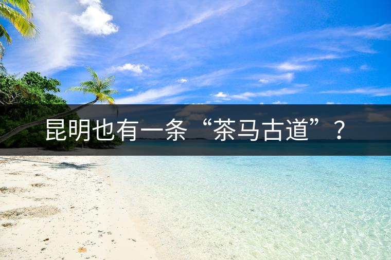 昆明也有一條“茶馬古道”？