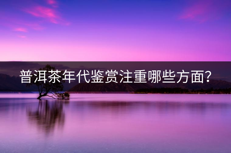 普洱茶年代鑒賞注重哪些方面？