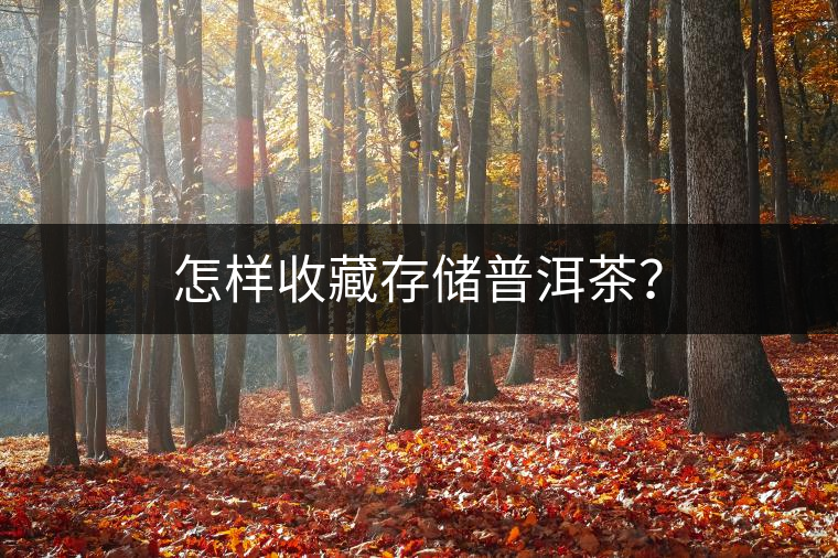 怎樣收藏存儲(chǔ)普洱茶? 怎樣收藏存儲(chǔ)普洱茶?