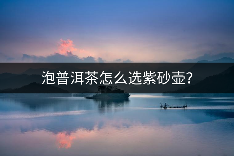 泡普洱茶怎么選紫砂壺？