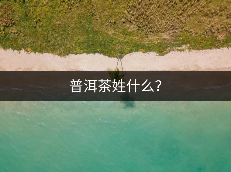 普洱茶姓什么？