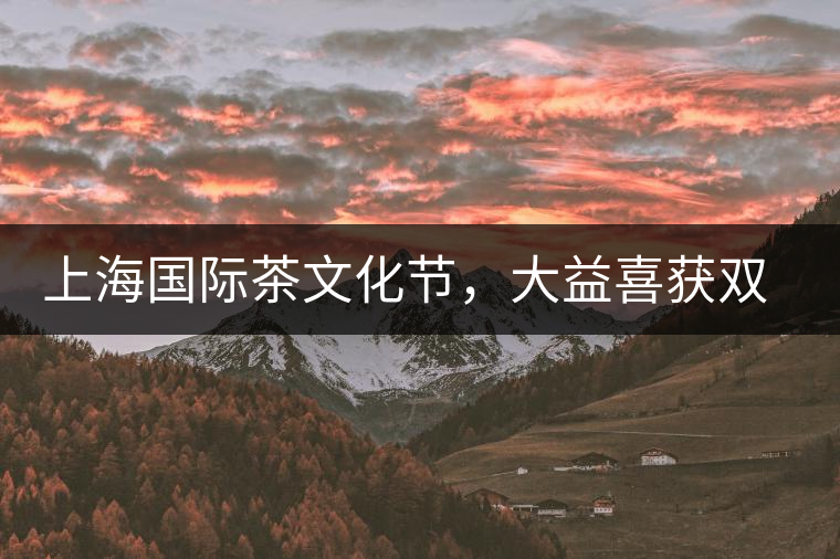 上海國際茶文化節(jié)，大益喜獲雙獎