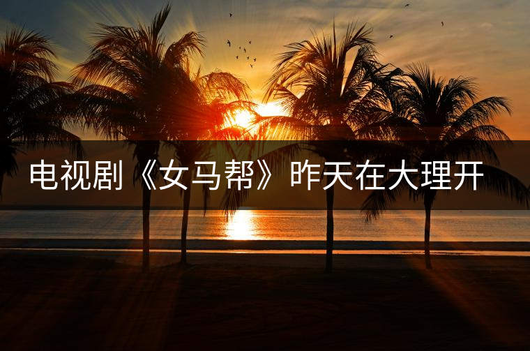 電視劇《女馬幫》昨天在大理開機(jī) 電視劇《女馬幫》昨天在大理開機(jī)
