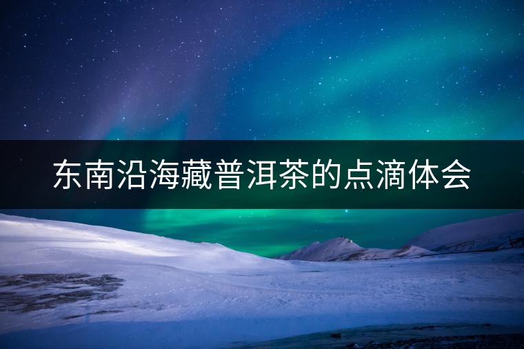 東南沿海藏普洱茶的點(diǎn)滴體會(huì)