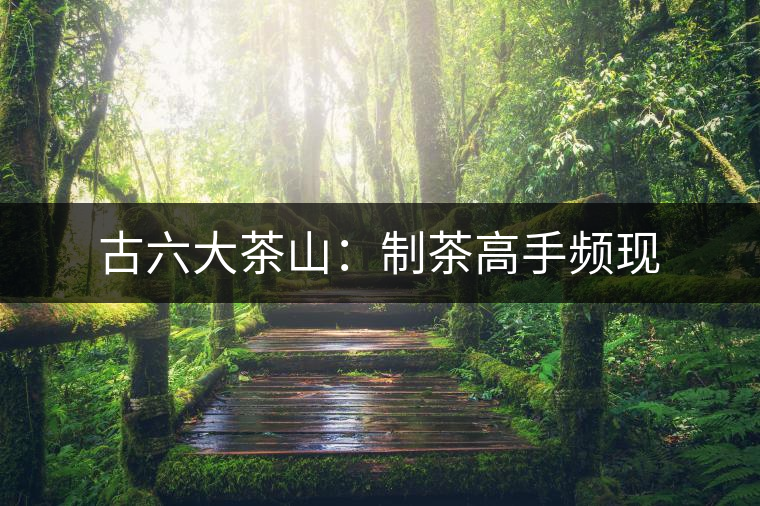 古六大茶山:制茶高手頻現 古六大茶山:制茶高手頻現