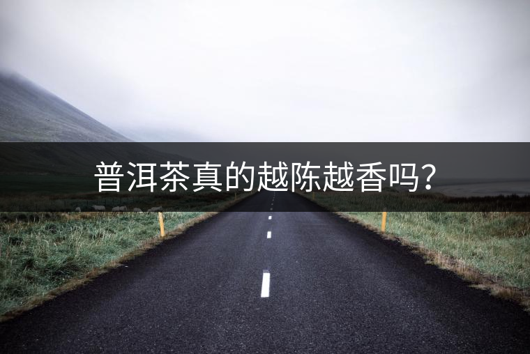 普洱茶真的越陳越香嗎？