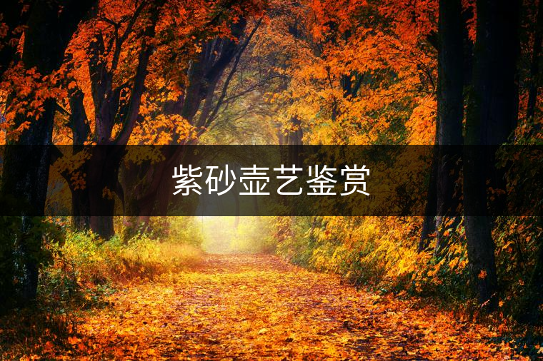 紫砂壺藝鑒賞 紫砂壺藝鑒賞