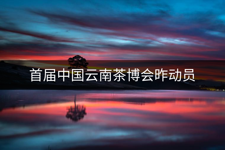 首屆中國云南茶博會(huì)昨動(dòng)員 首屆中國云南茶博會(huì)昨動(dòng)員