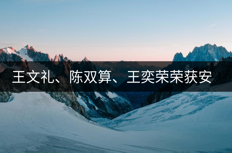 王文禮、陳雙算、王奕榮榮獲安溪茶界三杰
