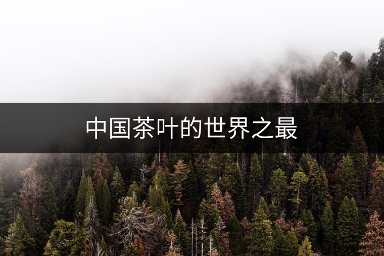 中國茶葉的世界之最