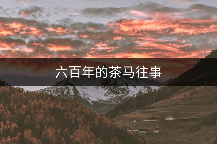 六百年的茶馬往事