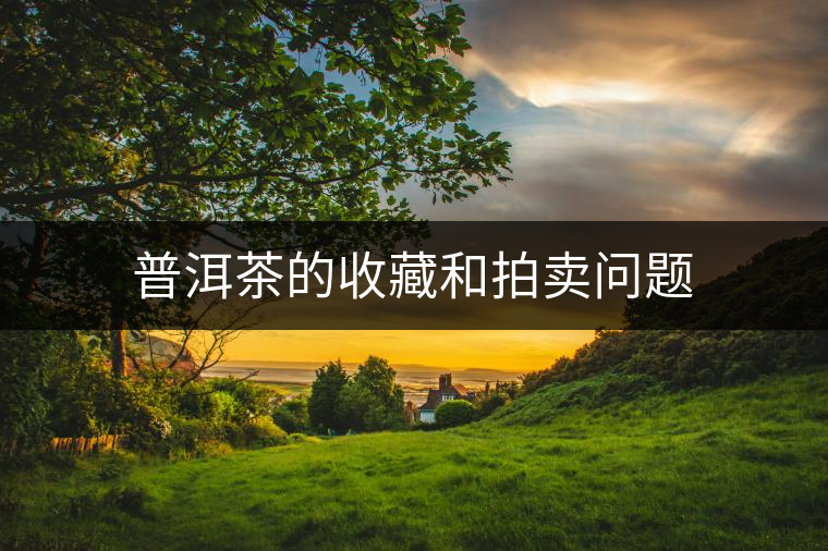 普洱茶的收藏和拍賣問題 普洱茶的收藏和拍賣問題