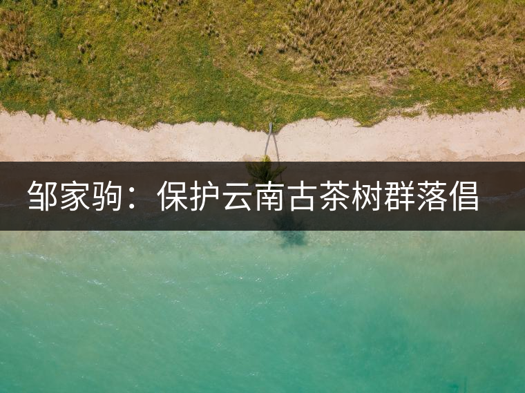 鄒家駒:保護(hù)云南古茶樹(shù)群落倡議書(shū) 鄒家駒:保護(hù)云南古茶樹(shù)群落倡議書(shū)