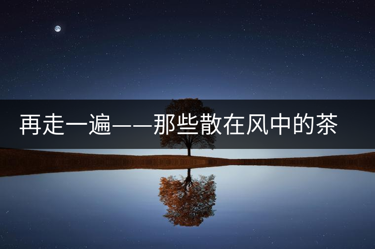 再走一遍——那些散在風(fēng)中的茶馬路