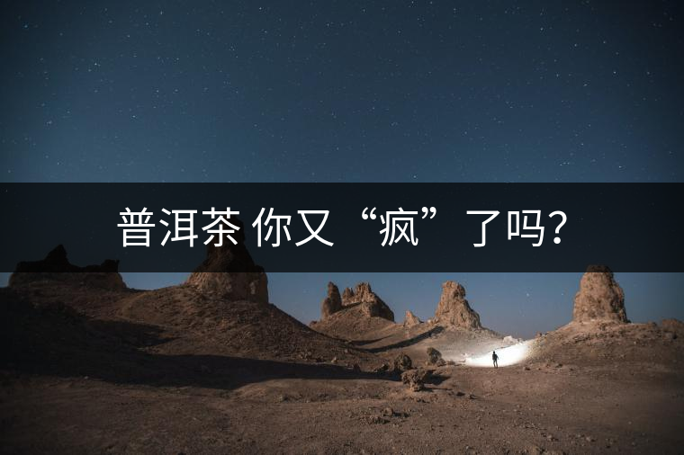 普洱茶 你又“瘋”了嗎？
