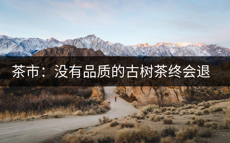 茶市:沒(méi)有品質(zhì)的古樹(shù)茶終會(huì)退出市場(chǎng) 茶市:沒(méi)有品質(zhì)的古樹(shù)茶終會(huì)退出市場(chǎng)