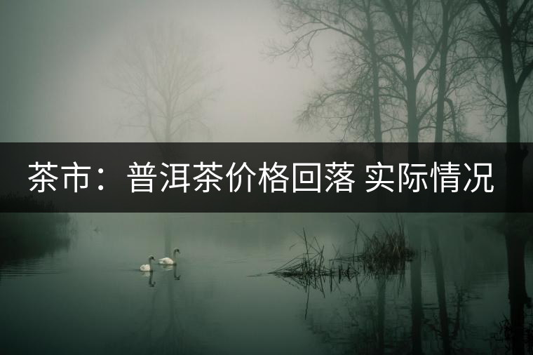 茶市：普洱茶價(jià)格回落 實(shí)際情況究竟如何？