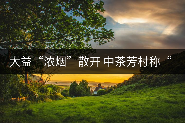 大益“濃煙”散開 中茶芳村稱“王”？