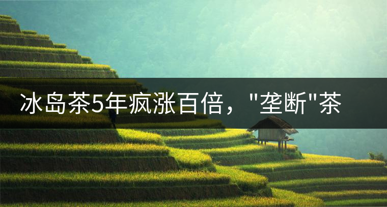 冰島茶5年瘋漲百倍，