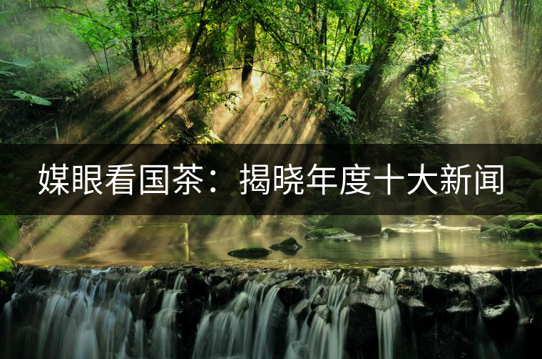 媒眼看國茶:揭曉年度十大新聞 媒眼看國茶:揭曉年度十大新聞
