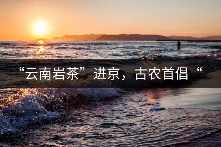 “云南巖茶”進(jìn)京，古農(nóng)首倡“名茶+名企”戰(zhàn)略