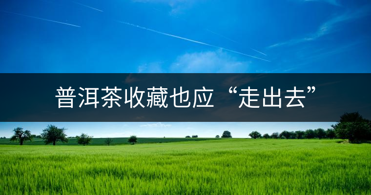 普洱茶收藏也應(yīng)“走出去” 普洱茶收藏也應(yīng)“走出去”