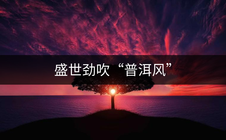 盛世勁吹“普洱風(fēng)”