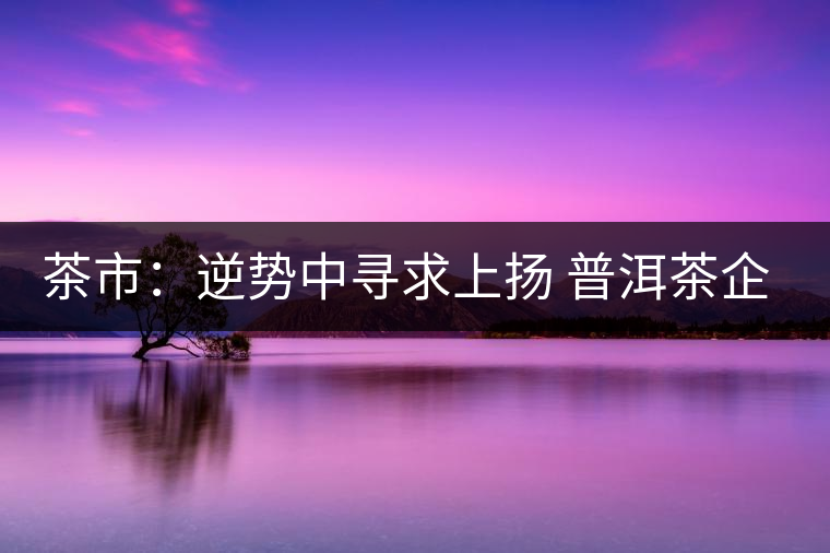 茶市：逆勢(shì)中尋求上揚(yáng) 普洱茶企靠什么打贏這場(chǎng)翻身仗？