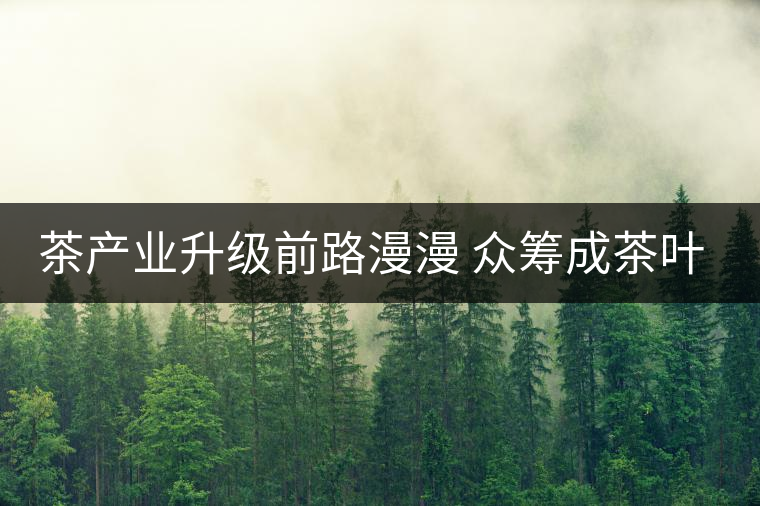 茶產(chǎn)業(yè)升級前路漫漫 眾籌成茶葉營銷新寵