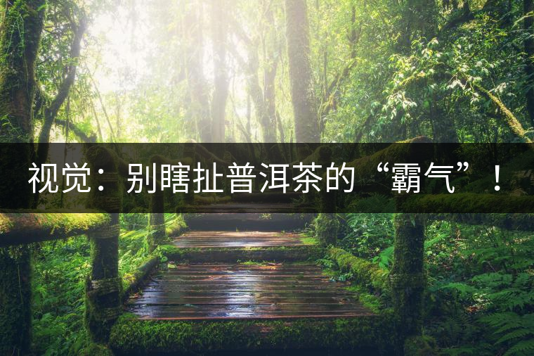 視覺：別瞎扯普洱茶的“霸氣”！偽大師！