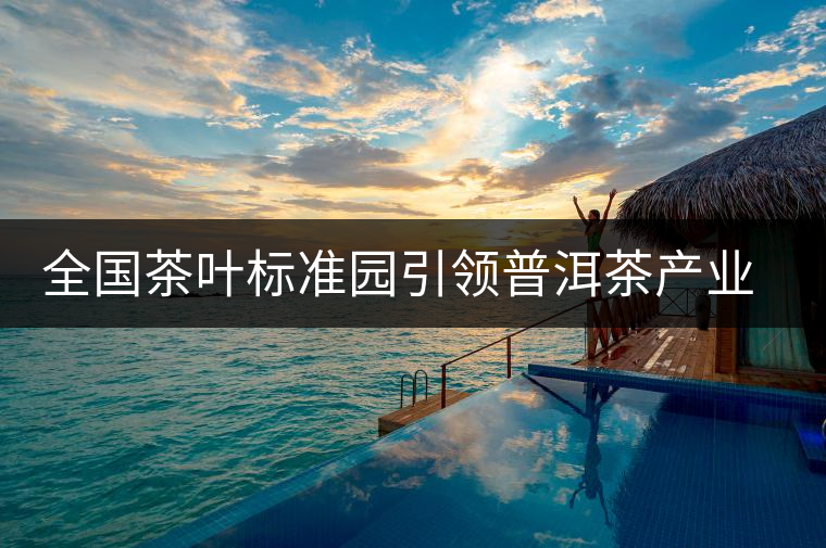 全國茶葉標準園引領普洱茶產(chǎn)業(yè)發(fā)展