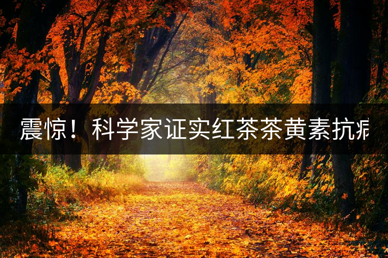 震驚！科學(xué)家證實(shí)紅茶茶黃素抗病毒新功能！